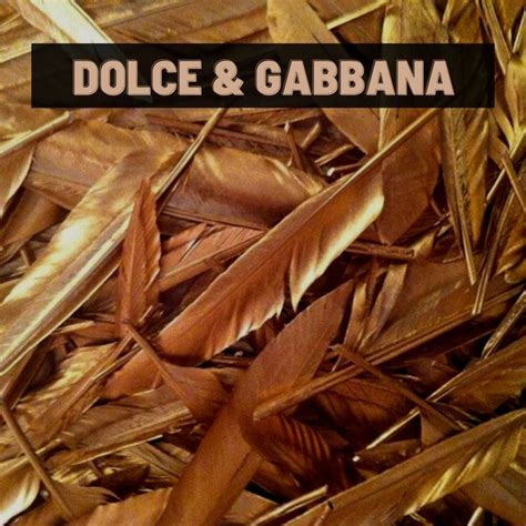 canzone dolce gabbana remix|dolce and gabbana song lyrics.